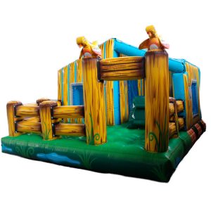 Casa do Picolino 1000 bolinhas - 4m x 4m x 3m